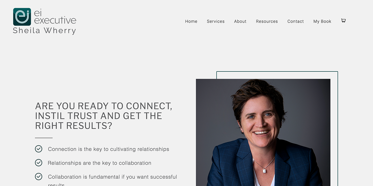 Serene Example EI Executive Leadership Coaching Website